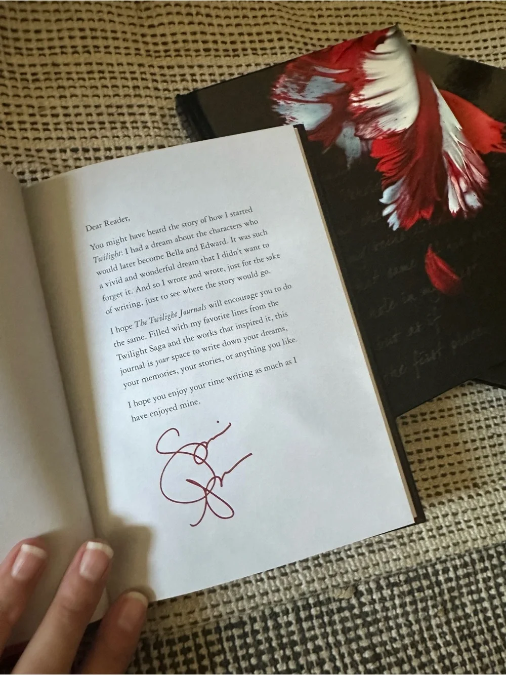 The Twilight Saga decorative collectible